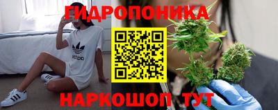 jwh Лесосибирск