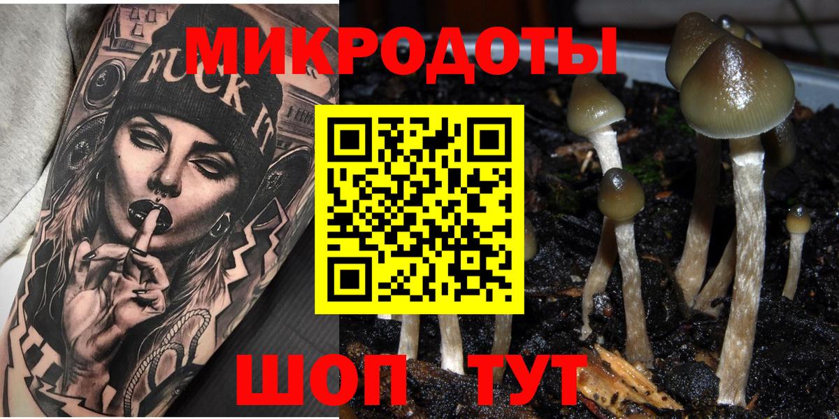 Галлюциногенные грибы GOLDEN TEACHER  Вход с VPN  Ярославль 